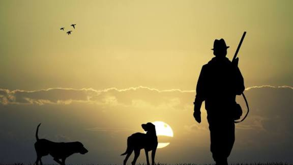 تعميم حول الصيد البري… ماذا جاء فيه؟