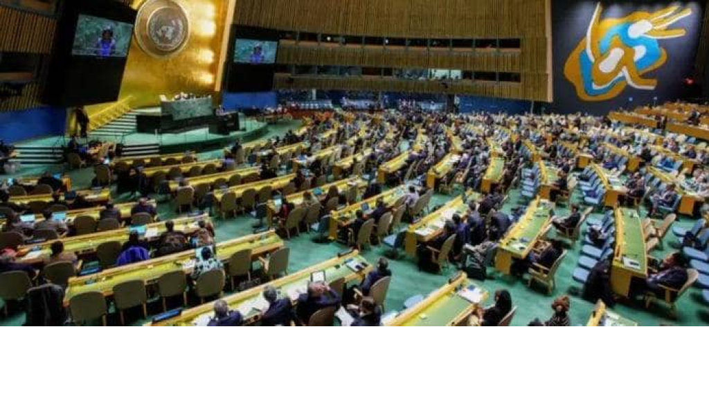 رئاسة مؤتمر حل الدولتين: إنهاء الحرب في غزة أولوية قصوى