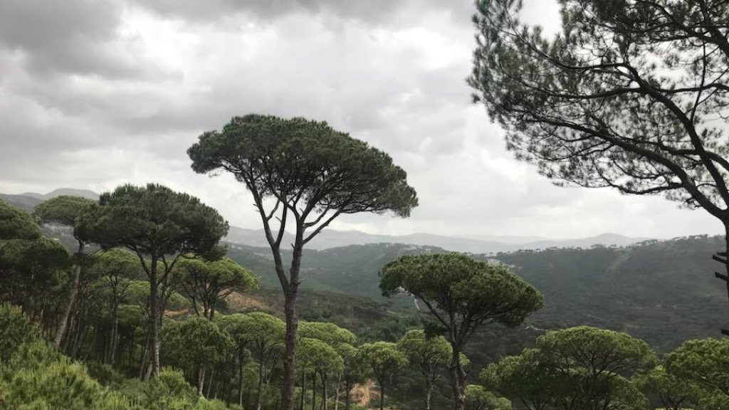 سطوة حزبية على بعض بلديات الجبل.. وصراعات داخل الفريق السياسي الواحد