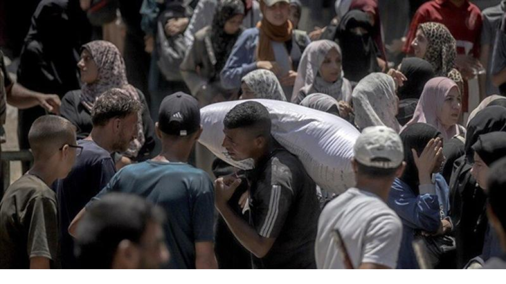 37 شهيدًا خلال يوم في غزة