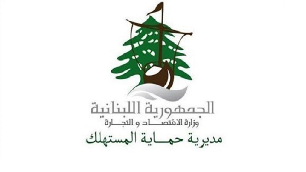 محاضر ضبط لاصحاب المولدات الكهربائية في الجنوب
