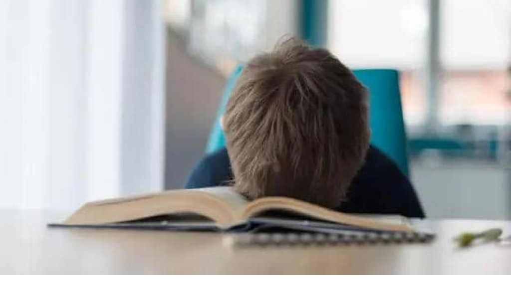 هل يولد بعض الناس عاجزين عن فهم الرياضيات؟