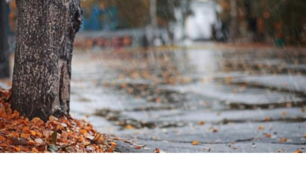 كيف سيكون طقس نهاية الأسبوع؟