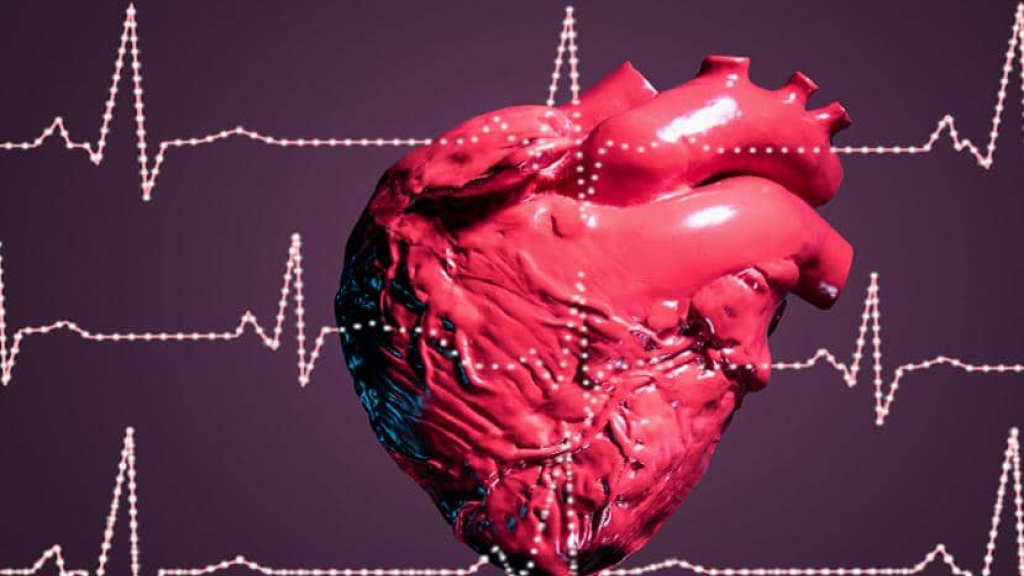 دراسة أمريكية تحدد التوابل التي تؤخر عملية الشيخوخة وتحسن عمل القلب