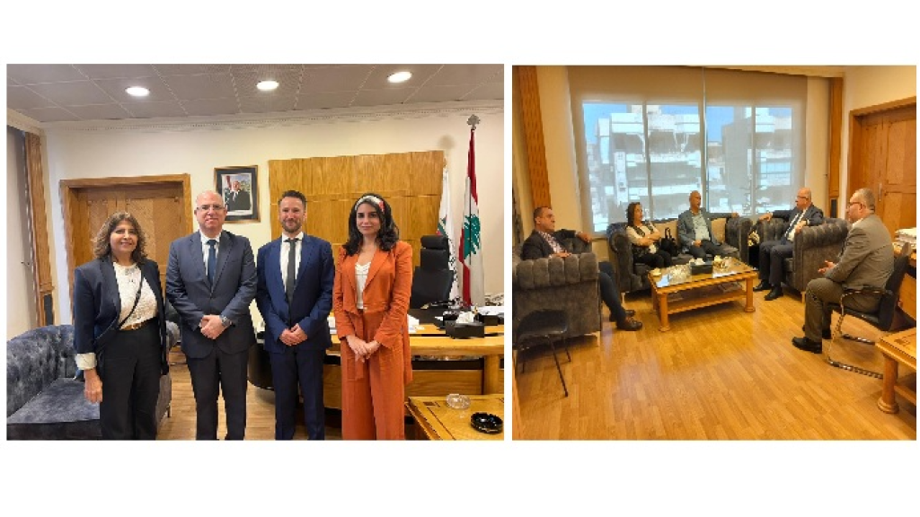 حيدر التقى وفد منظمة العمل الدولية واطلع على عمل المؤسسة الوطنية للاستخدام