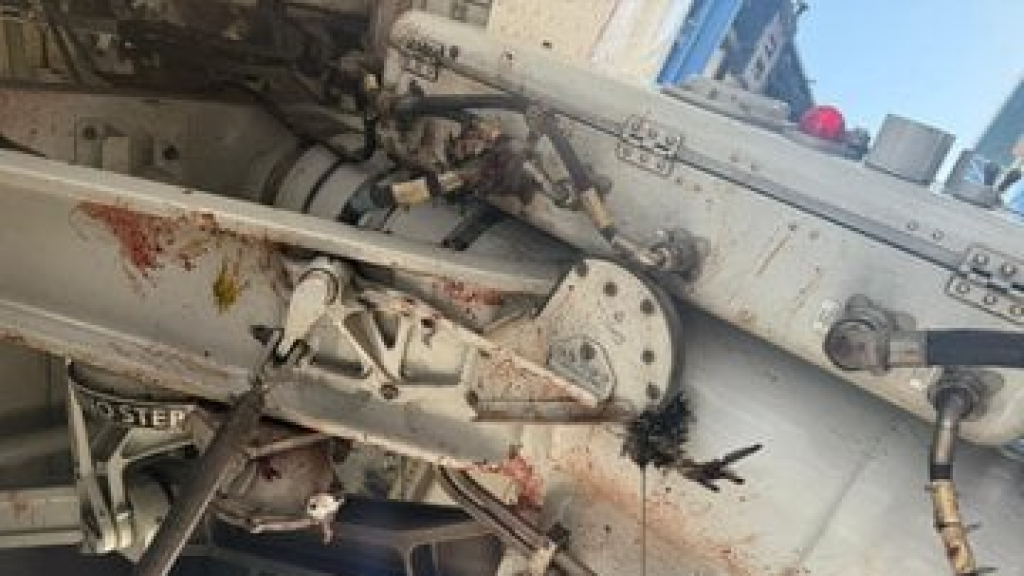 حادث جوّي فوق الجزائر... طيور مهاجرة تصطدم بطائرة سعودية (صور)