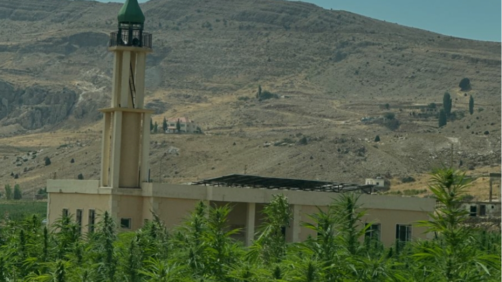 جامع 