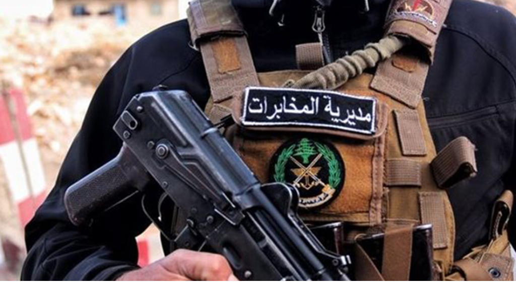 مداهمات للجيش في بعلبك.. ضبط مخدرات وأسلحة حربية بمنازل مطلوبين (صور)
