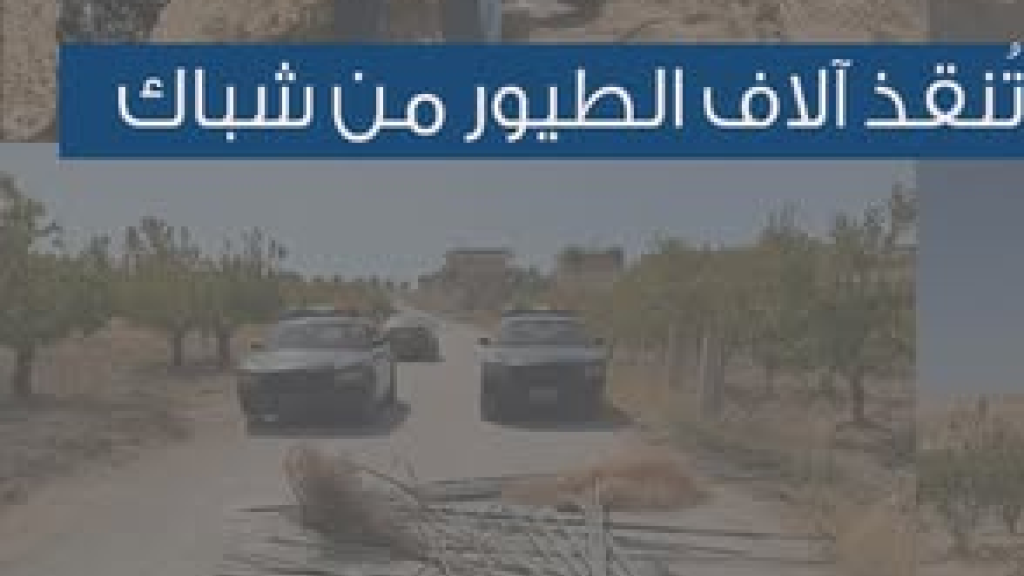 “مجزرة الطيور” في البقاع.. اليكم التفاصيل