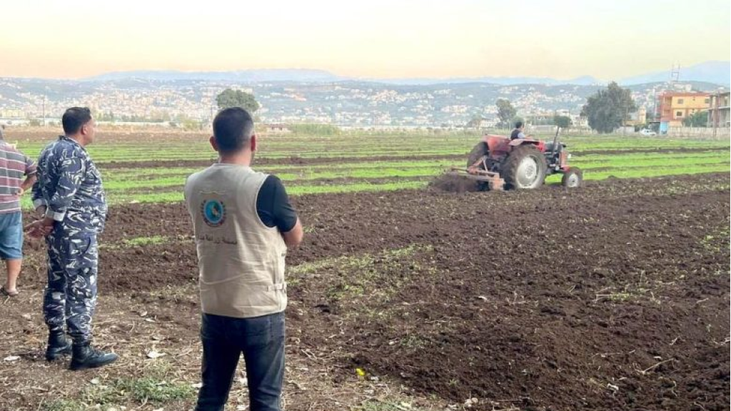 إتلاف مزروعات غير مطابقة للمعايير الصحية