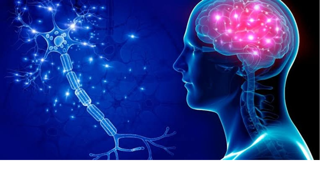 إكتشاف السبب المحتمل لمرض عصبي مدمر!