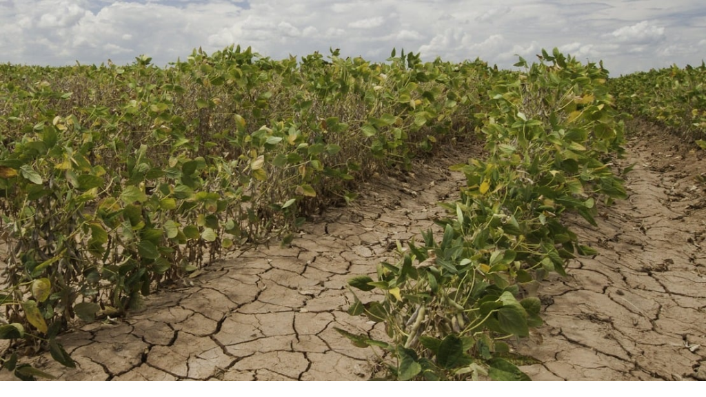 الجفاف يطرق أبواب 2025… و