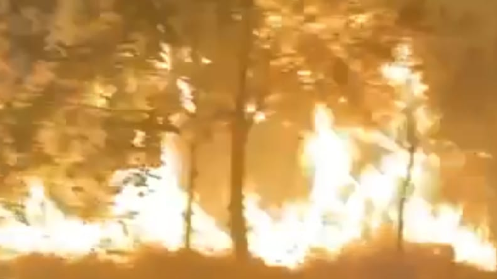 أنقذوا البيوت قبل أن تلتهمها النيران (فيديو)