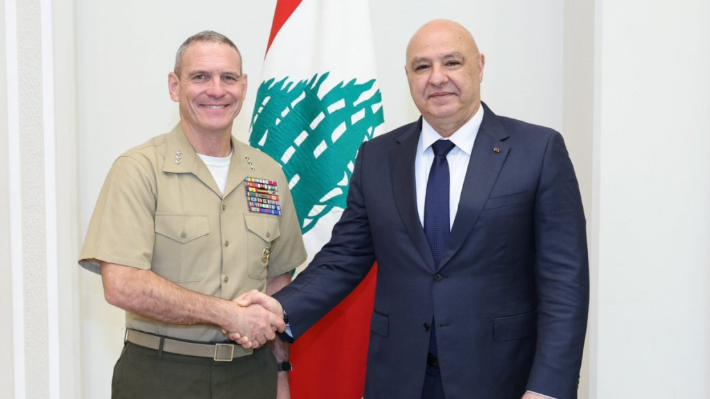 14 ضابط أميركي في الجنوب!