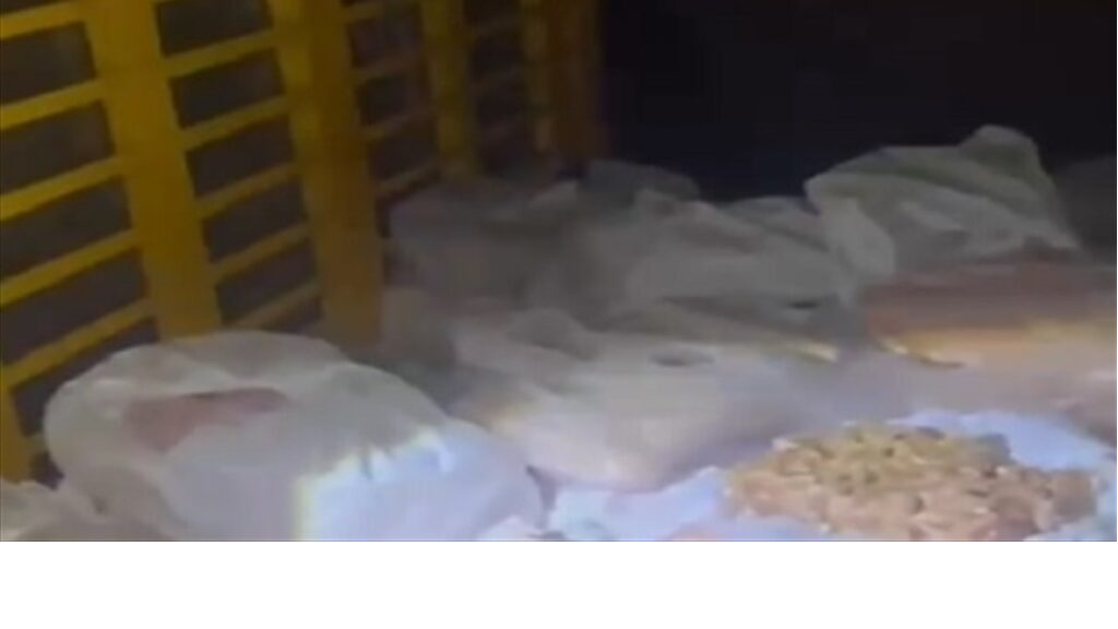 ضبط أطنان من الشحوم الحيوانية الفاسدة