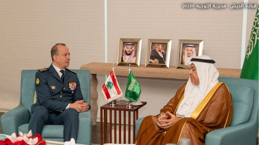 لتعزيز التعاون الدولي وتثبيت الاستقرار جنوباً... هيكل في 