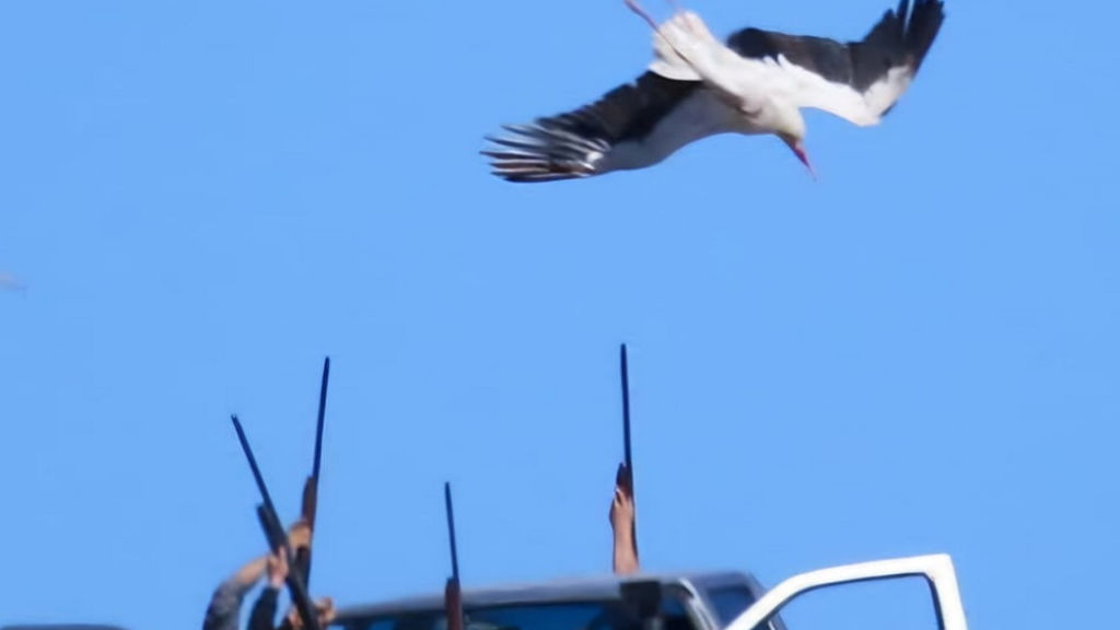 تحذير من إعلانات الصيد البري: الملاحقة بانتظار المخالفين!