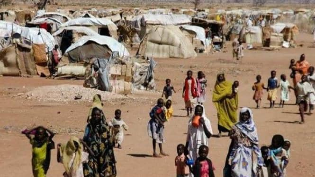 مأساة النازحين تتفاقم في الدبة السودانية