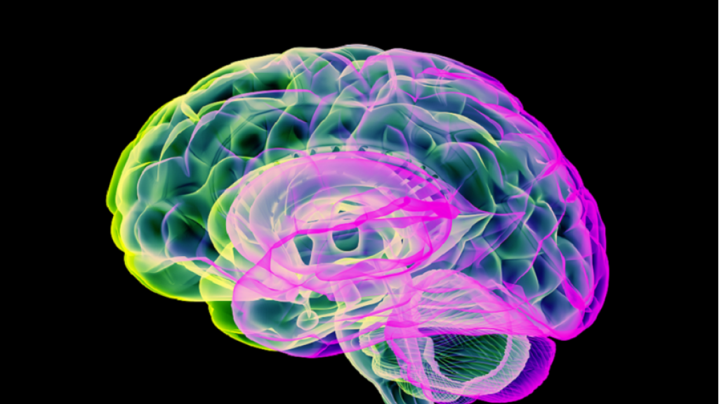 اكتشاف سبب جديد للتدهور المعرفي وتلف الدماغ 