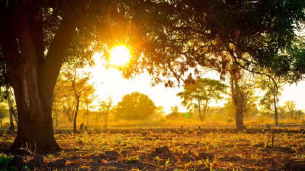 الصيف مستمرّ… لا أمطار في الأفق فمتى يبدأ الشتاء؟