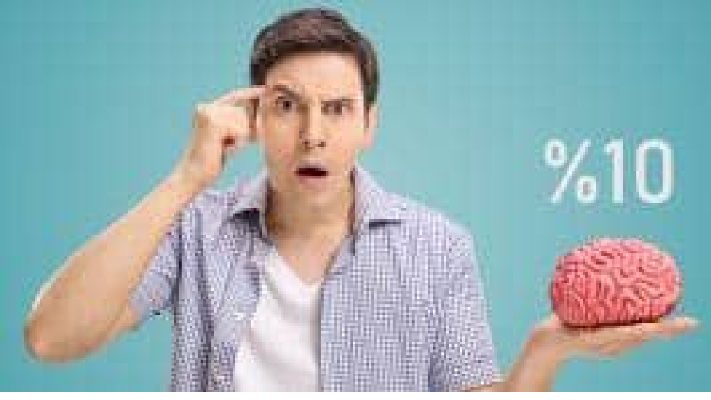 الأدمغة وأسواق الأسهم تتبع القواعد نفسها في الأزمات