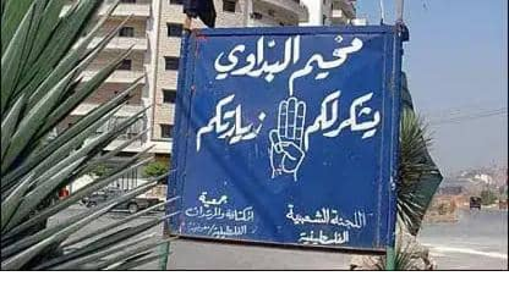 الجيش ينفذ انتشارا ميدانيا في مخيم البداوي