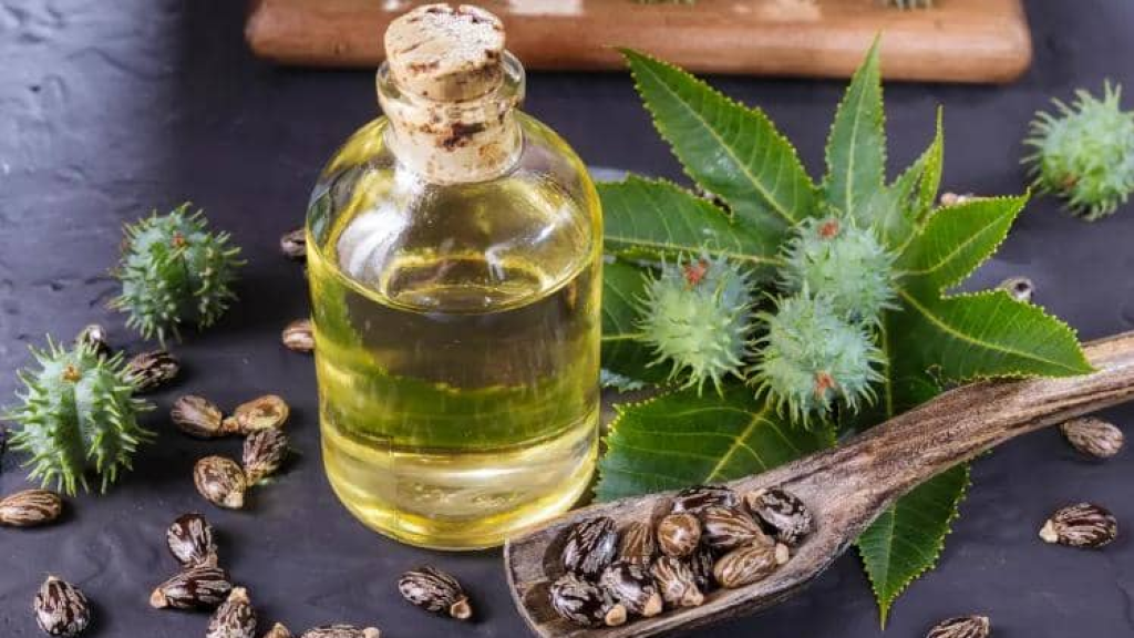 زيت الخروع.. إكسير الجمال الطبيعي الذي يعيد لبشرتك نضارتها