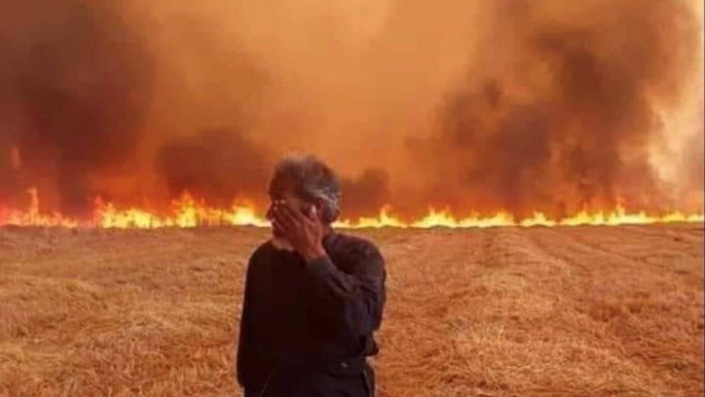 لبنان... حين تشتعل الذاكرة الخضراء