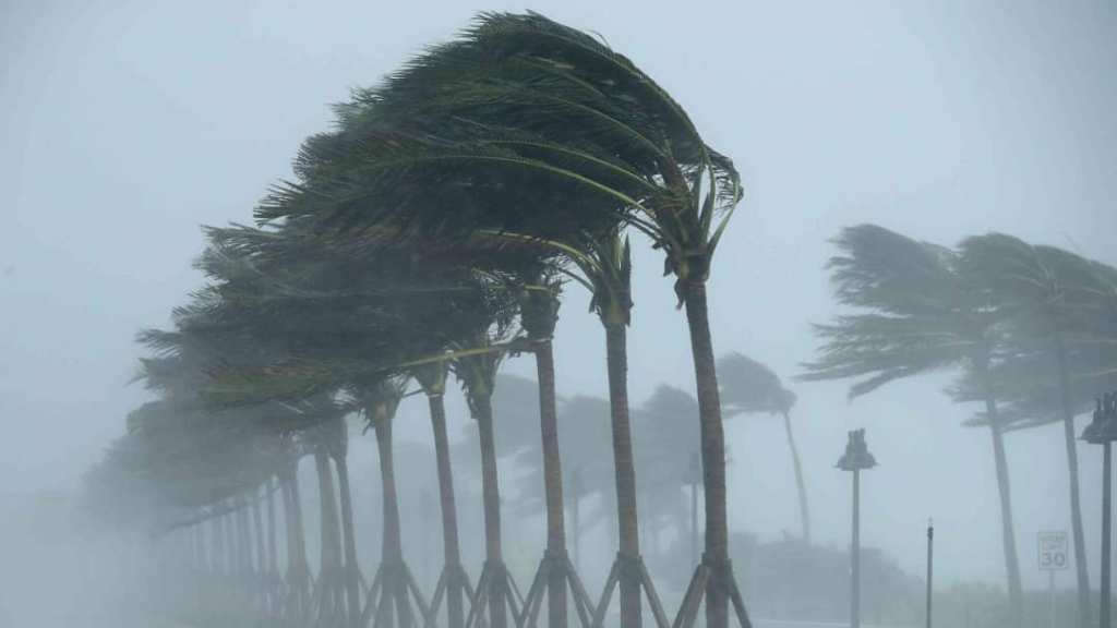 العاصفة الرعدية ضربت محطة الكهربا في النبطية ..وانقطاع التيار الكهربائي عن 30 بلدة