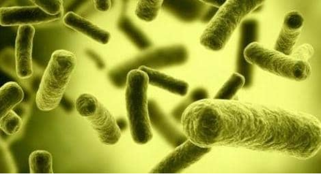 ارتفاع في مستويات الفايروسات والبكتيريا المحمولة جوا بسبب الغارات