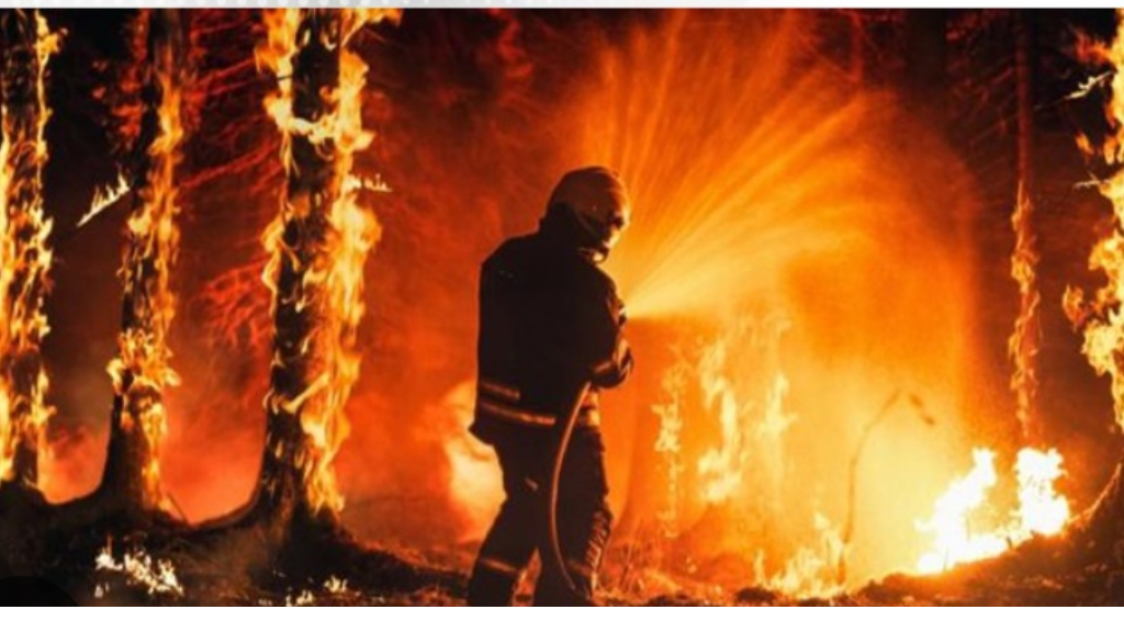 حريق اليابان يدمر 17 مبنى ويؤدي لإجلاء 175 شخصاً (فيديو)