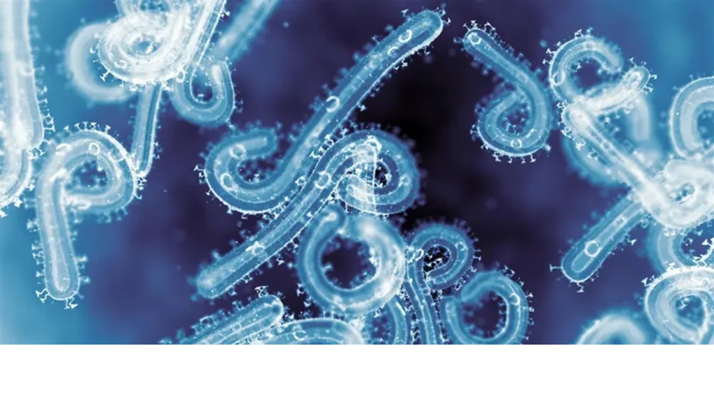 دولة عربيّة تتأهب لمُواجهة فيروس خطير!