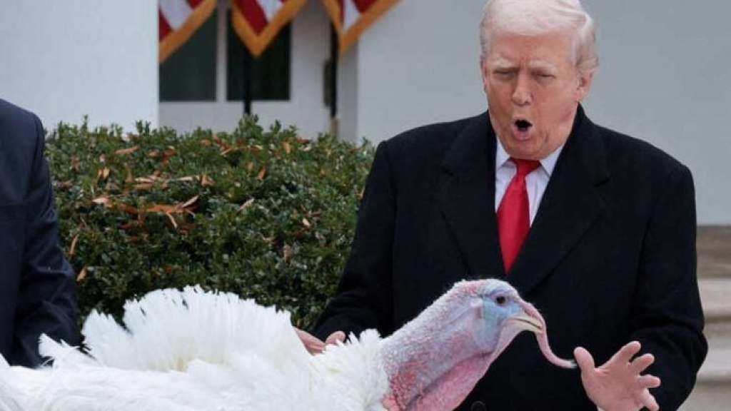 ترامب يستغل تقليد “العفو عن الديوك الرومية” لمهاجمة خصومه السياسيين