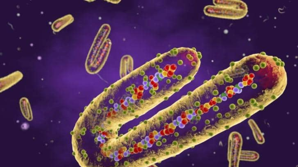 ارتفاع الوفيات بفايروس “ماربورج” في إثيوبيا