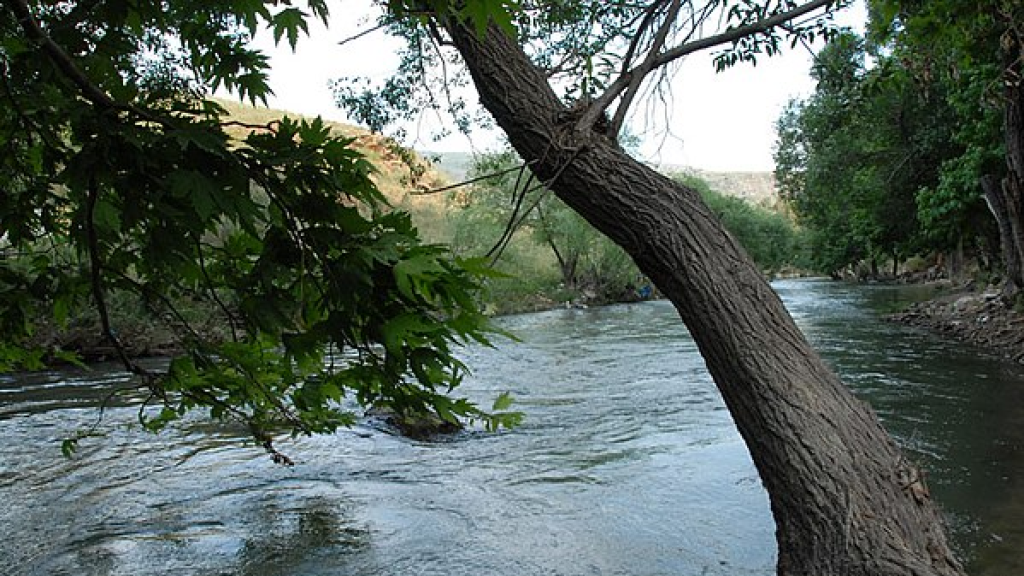 جريمة بيئية ليلًا في الليطاني والمصلحة تتحرّك
