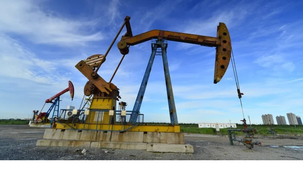 نوفاك: سوق النفط العالمية لا تزال حساسة لتقلبات العرض والطلب