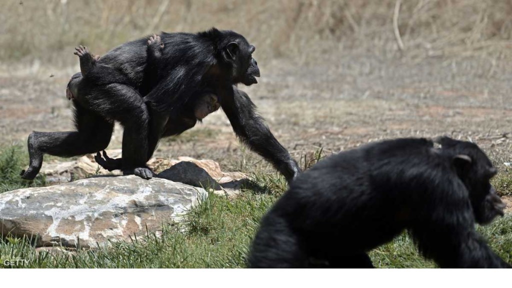 قرار أميركي مفاجئ بشأن 