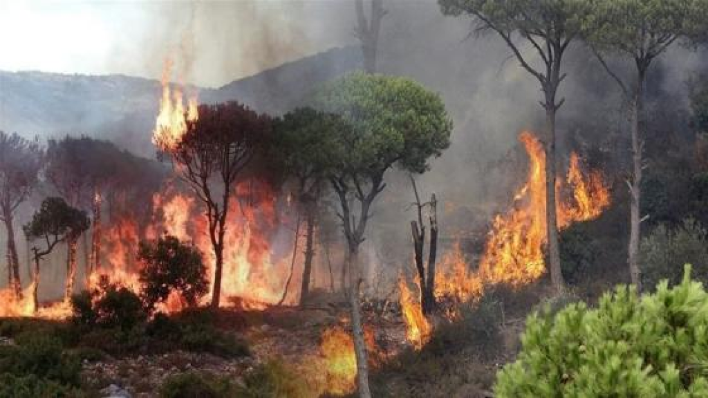 الغابات تحترق صيفاً وتتعرّى شتاءً: لبنان يفقد غطاءه الأخضر