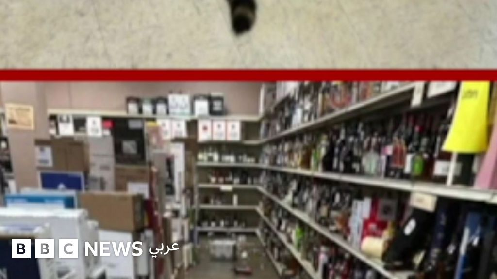 راكون يقتحم متجر خمور ويسكر