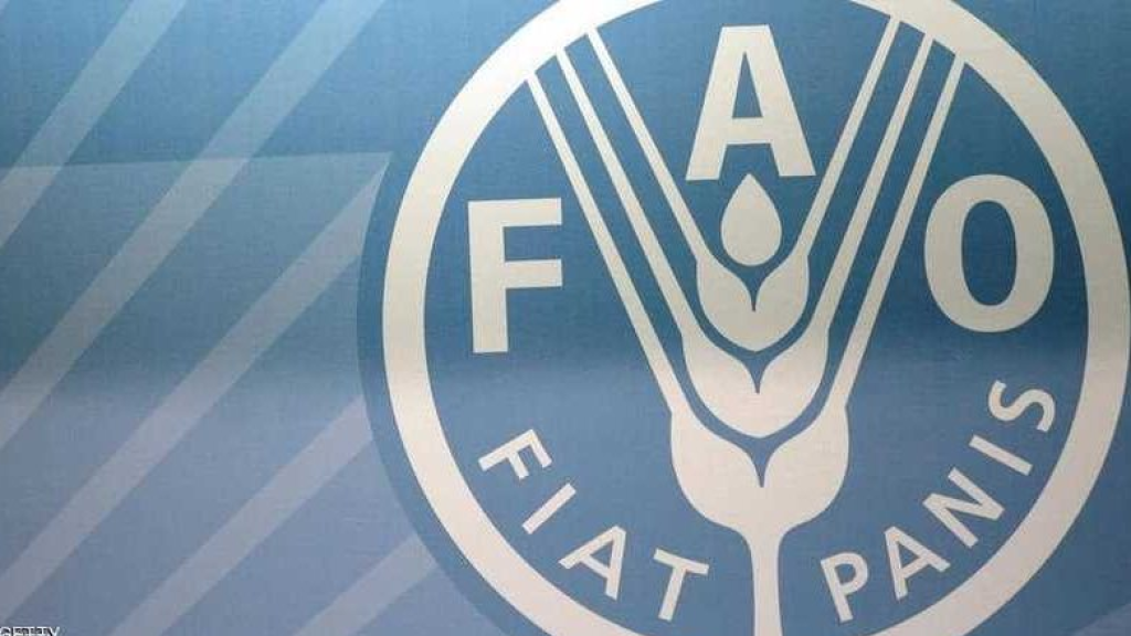 الفاو: أسعار الغذاء العالمية تنخفض للشهر الثالث في نوفمبر