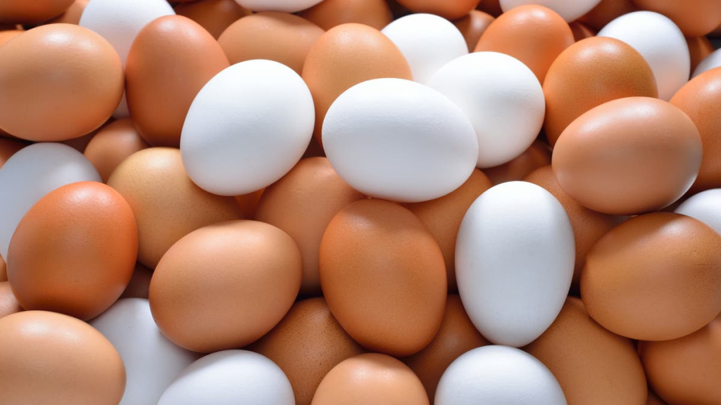 البيض يومياً.. هل يضر القلب والضغط؟