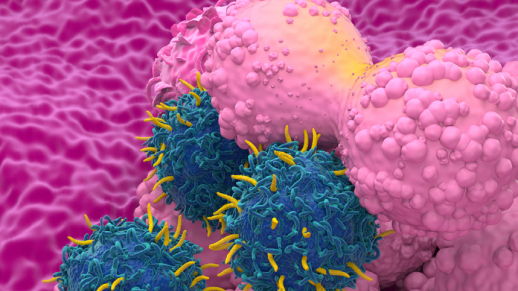 استراتيجية مبتكرة ضد أكثر أنواع سرطان الثدي انتشارا