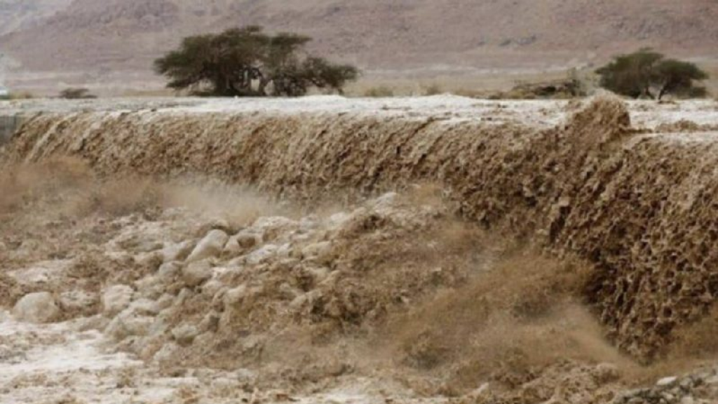 سيول وأمطار غزيرة تضرب العراق (فيديو)