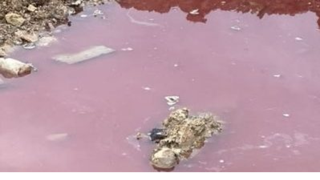 بركة حمراء في بدنايل...ماهي؟؟
