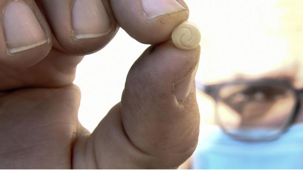 “الأمن” يضبط 14 ألف حبة كابتاغون (صورة) 