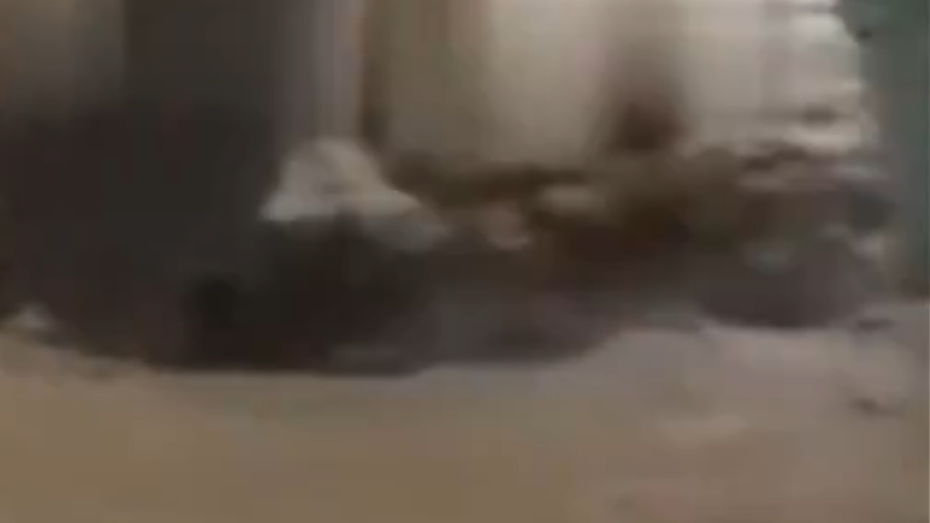 فيديو.. لحظة إنقاذ بطولي لسيدة جرفتها 