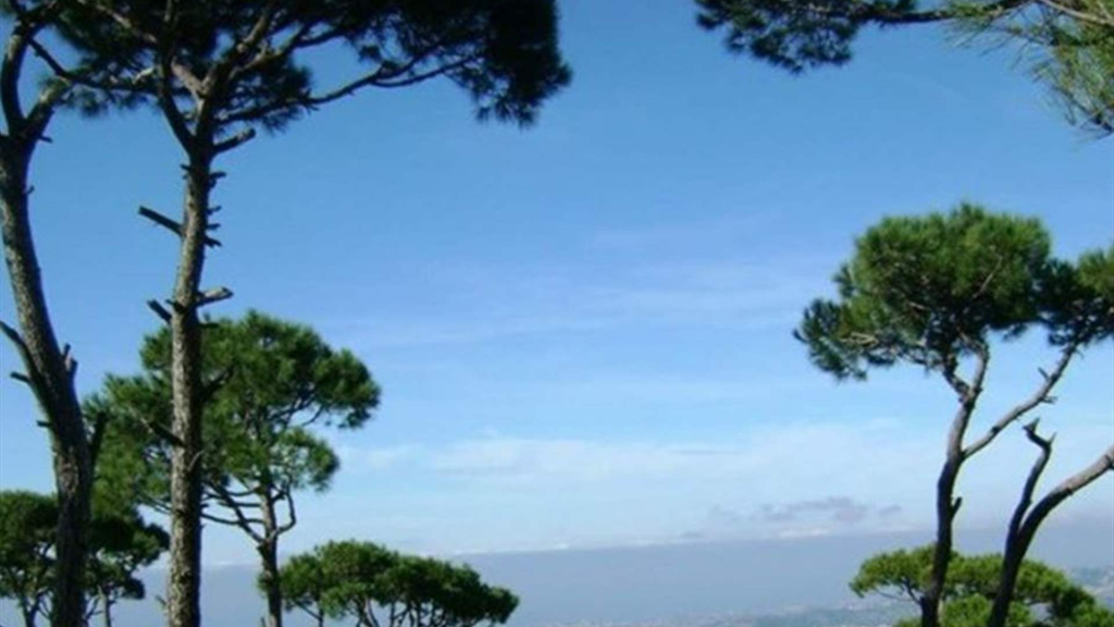 طقس مستقر و ارتفاع تدريجي بدرجات الحرارة 