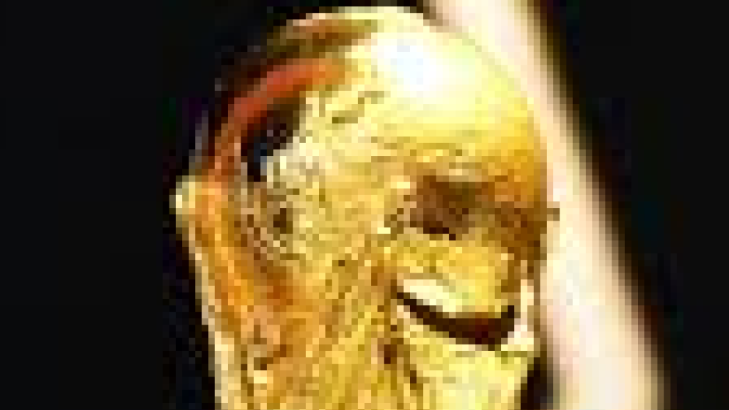 “الفيفا” تكشف الجوائز المالية لمونديال 2026