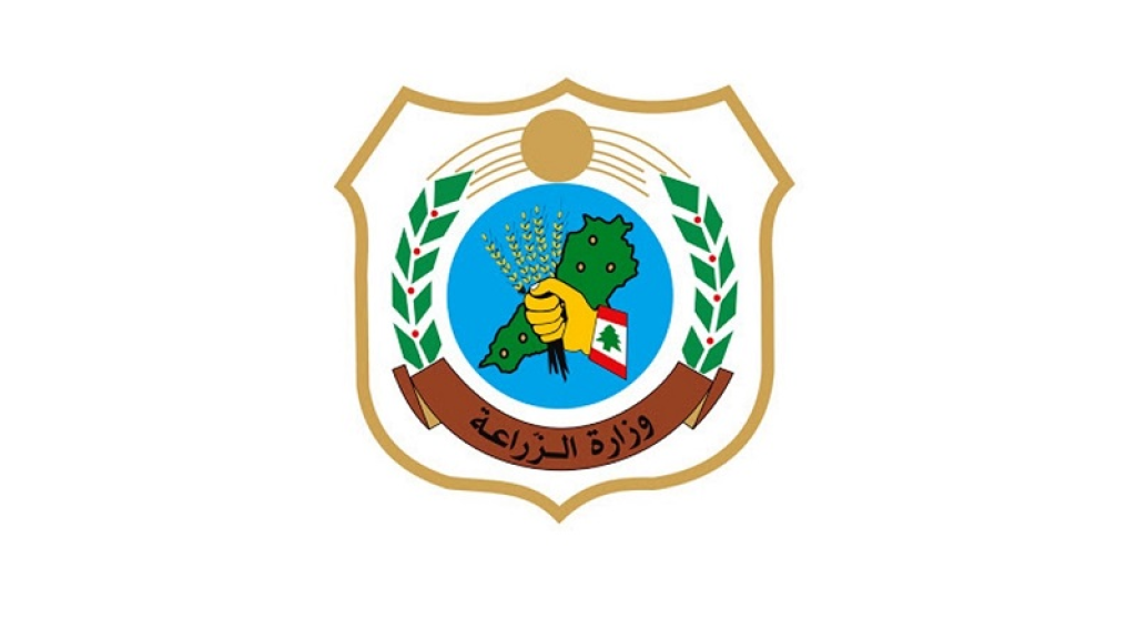 “الزراعة”: للتحقق قبل نشر أي خبر عن الحمى القلاعية