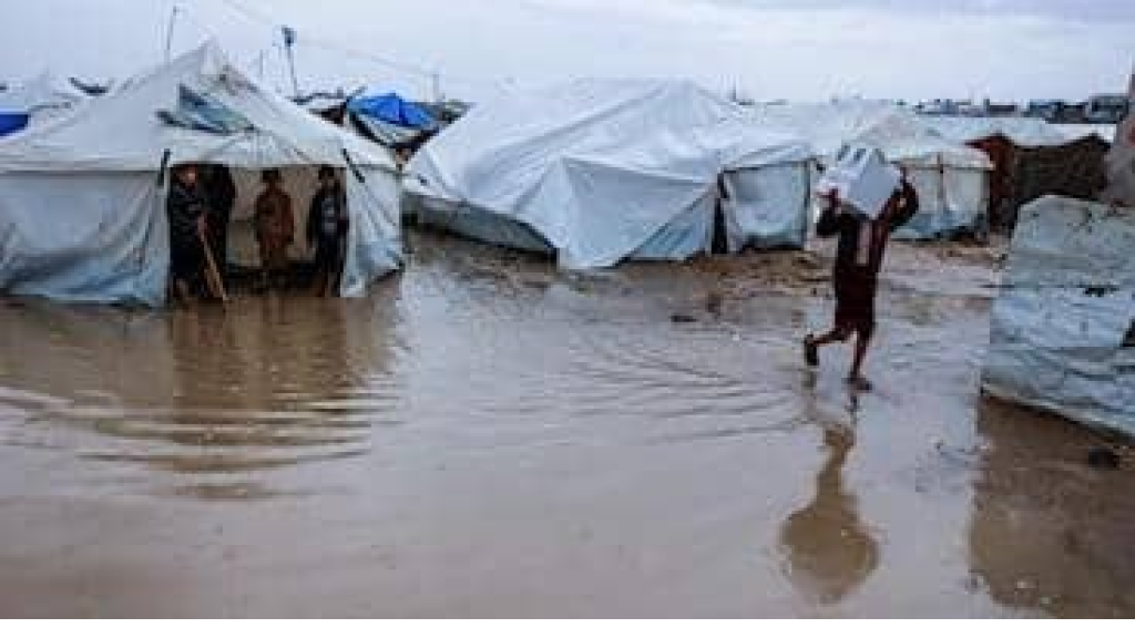 الأمم المتحدة: قيود تمنع وصول مساعدات الإيواء إلى غزة